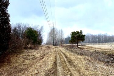 A dirt path lined with sparse vegetation leads through an open area with power lines overhead. The sky is cloudy and gray, creating a muted atmosphere. Trees are visible on the sides of the path, and the landscape appears tranquil and somewhat desolate. Port Burwell Provincial Park mountain bike trail.
