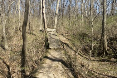 A narrow dirt path winding through a wooded area, featuring a wooden bridge crossing over a small dip in the terrain. The scene is set under a clear blue sky with leafless trees and budding greenery along the path. Wyandotte County Lake - WyCo mountain bike trail.