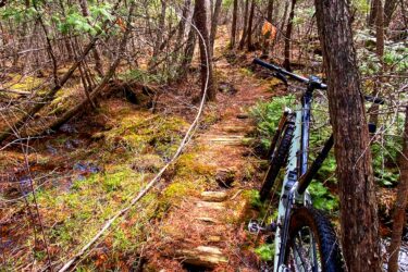 Mountain bike parked on a narrow, wooden trail through a dense forest. The path is surrounded by green moss and small shrubs, with sunlight filtering through the trees. The scene captures a serene, natural setting ideal for biking and outdoor exploration. Arkell Spring Grounds mountain bike trail.