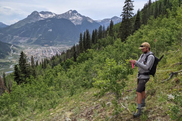 A person stands on a hillside surrounded by green vegetation, focusing on a small tree. In the background, a mountainous landscape is visible with snow-capped peaks and a town nestled in the valley below. The sky is partly cloudy, creating a scenic outdoor setting.
