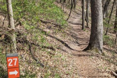 A winding dirt path through a forested area, lined with green foliage and trees. A trail marker to the left indicates two routes, showing "27" with an arrow pointing right and "8" with an arrow pointing straight ahead. Fallen leaves are scattered on the path. Heritage Park mountain bike trail.