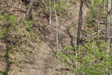 A narrow dirt path winds through a wooded area, bordered by trees and bushes. The ground is covered with dry leaves, and new green foliage is visible on the trees, indicating early spring. Heritage Park mountain bike trail.
