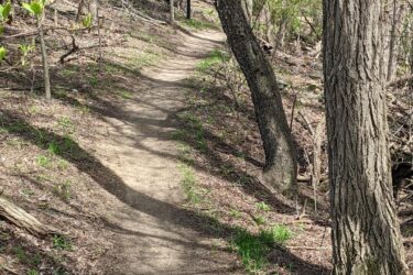 A winding dirt path through a wooded area, surrounded by trees with budding leaves and patches of greenery on the ground, dappled sunlight casting shadows along the trail. Heritage Park mountain bike trail.