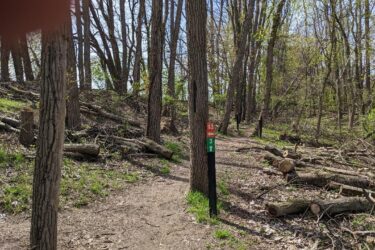 A wooded area featuring a dirt path that splits in two directions, marked by a signpost indicating trail numbers 13 and 3. Surrounding the path are several fallen logs and trees, with lush greenery and budding leaves, indicating springtime. Heritage Park mountain bike trail.