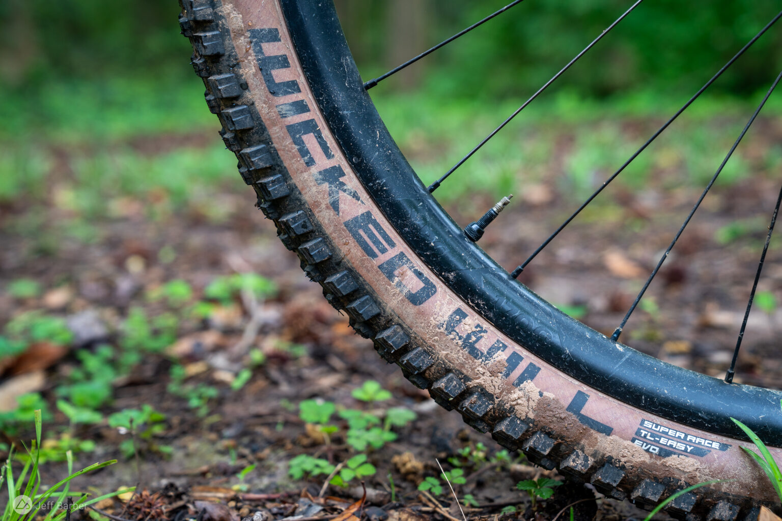 The Schwalbe Wicked Will Tire Rolls Fast and Light and Still Corners