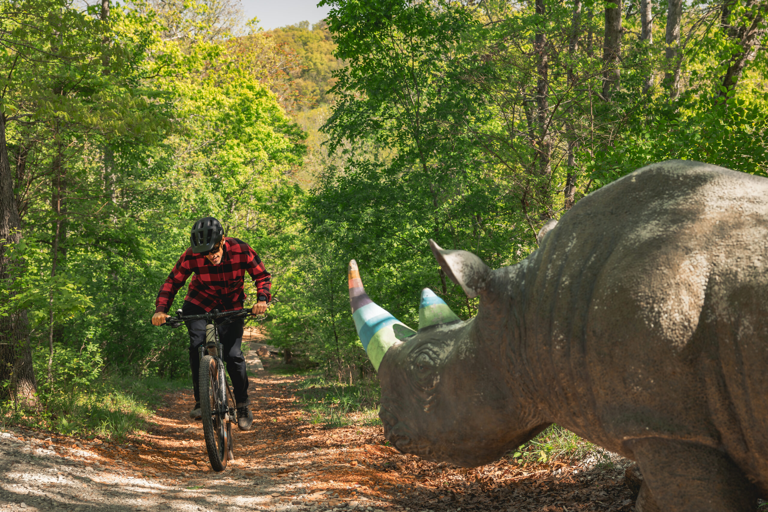 A cyclist wearing a black helmet and a red checkered shirt rides along a gravel path in a lush green forest, with trees lining the trail. A colorful sculpture of a rhinoceros is positioned to the right, partially in the foreground, as the cyclist approaches.
