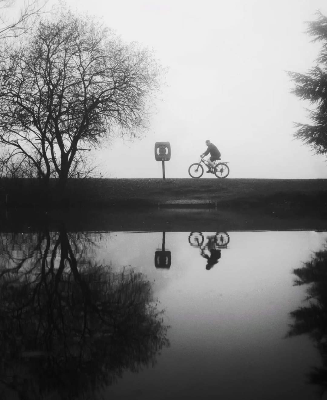 A cyclist riding along a path beside a quiet body of water, with a reflection of the cyclist and surrounding trees visible in the water. The image is in black and white, capturing a serene, foggy atmosphere. A life buoy is mounted on a post nearby, hinting at safety near the water.