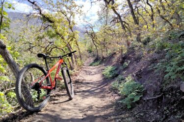 A mountain bike leans against a tree on a dirt path surrounded by green foliage and trees. The trail curves through a natural landscape under a bright blue sky with a few clouds. Ann's Trail mountain bike trail.