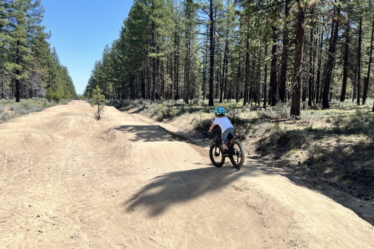 A child riding a bicycle on a dirt trail through a forest. The trail features several dirt mounds. Tall pine trees line both sides of the path under a clear blue sky.