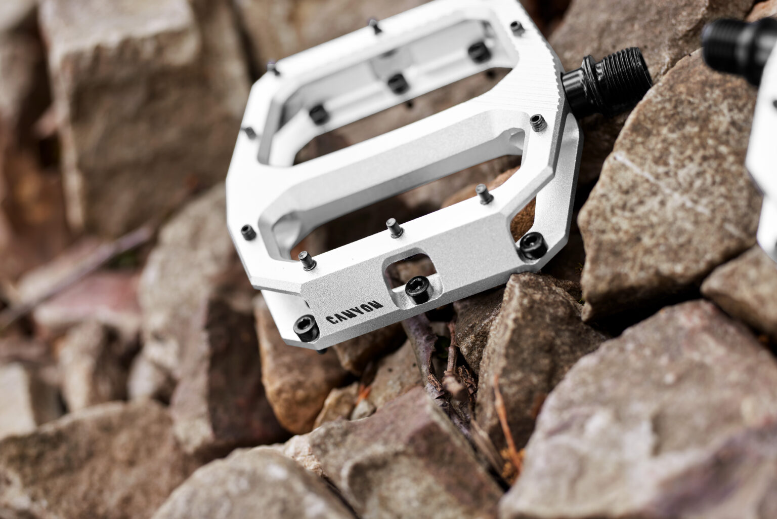 A Hardcore Hardtail with an Electronic Gearbox plus New Canyon Flat Pedals Singletracks