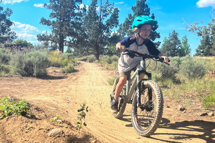 A young child wearing a teal helmet rides a mountain bike along a dirt trail surrounded by pine trees and shrubs under a bright blue sky. The child focuses intently on the path ahead, showcasing an adventurous spirit in a natural outdoor setting.