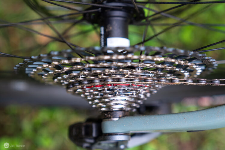 Close-up view of a bicycle's rear cassette and chain, showcasing detailed gear teeth and a portion of the bike's frame. The background features blurred greenery, suggesting an outdoor setting.