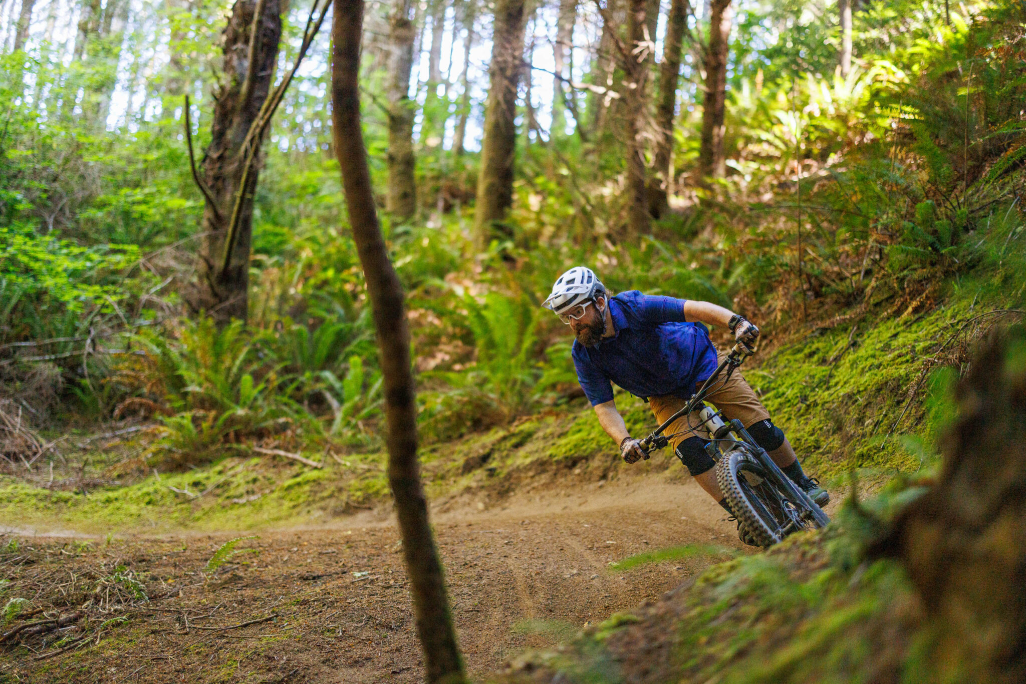 Oregon, Meet Your Next Mountain Bike Trail Destination - Singletracks ...