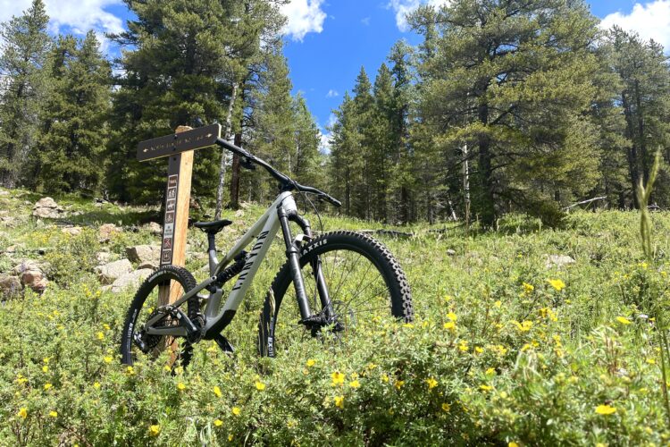 A mountain bike is leaning against a wooden trail sign, surrounded by lush green grass and yellow wildflowers. Tall pine trees and a clear blue sky can be seen in the background, creating a scenic outdoor setting.