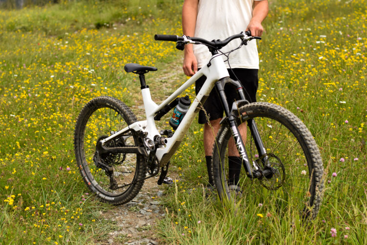 A person standing next to a white mountain bike on a grassy trail surrounded by colorful wildflowers. The bike is equipped with thick tires and a water bottle mounted on the frame. The person is wearing a light-colored t-shirt and black shorts.