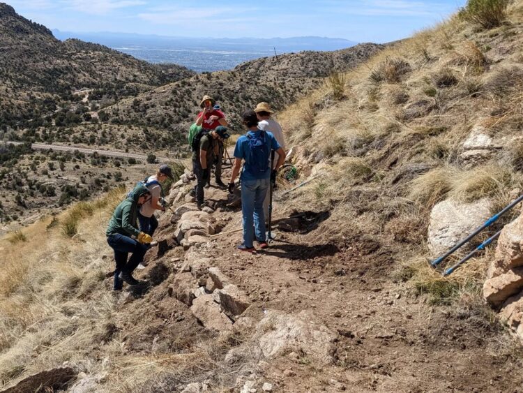 Tucson Mountain Bikers Look to - TORCA Volunteer Work 750x563 