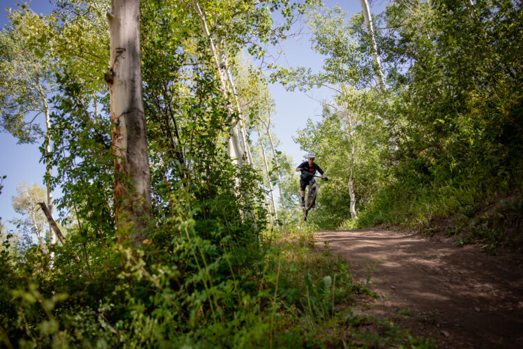 A mountain biker performing a jump on a dirt trail surrounded by green trees and foliage in a sunny, forested area.