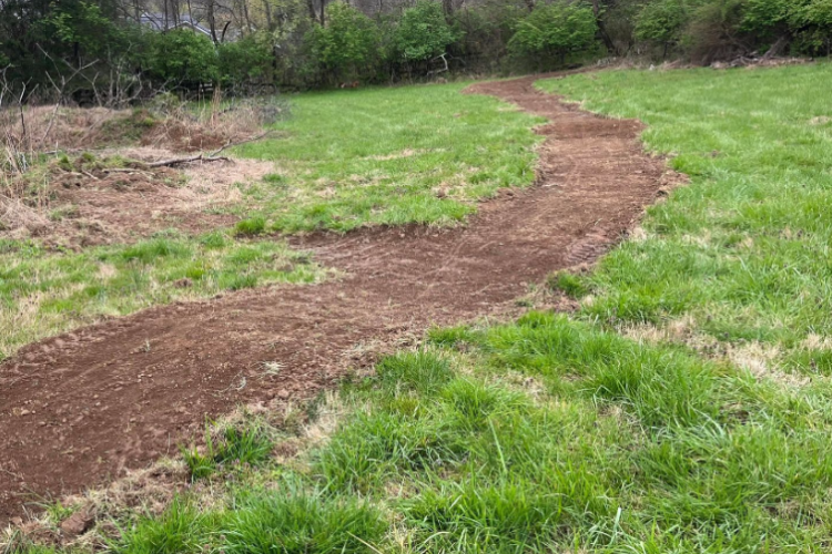 A winding dirt path through a grassy field surrounded by trees and shrubs, with a cloudy sky overhead.