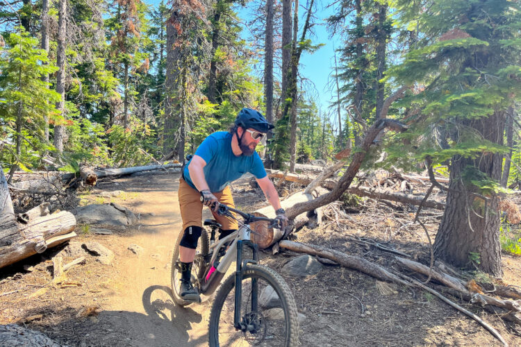 A person riding a mountain bike on a dirt trail surrounded by trees, with fallen logs and greenery in the background. The rider is wearing a helmet and protective gear, appearing focused as they navigate through the forested area on a sunny day.