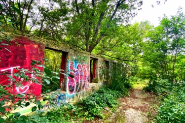 A partially overgrown path leads to the remnants of a weathered building covered in graffiti, surrounded by lush green foliage and trees. Seaton Trail mountain bike trail.