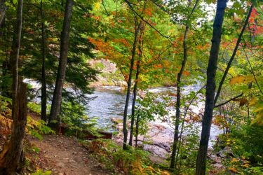 A peaceful forest trail leading to a river, surrounded by vibrant autumn foliage. The path is lined with fallen leaves and the trees showcase a mix of green, yellow, and red leaves, creating a picturesque natural scene. Noquemanon Trails Network: North Marquette Trails mountain bike trail.