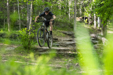 A mountain biker navigating a rocky trail in a lush green forest, captured mid-jump with the bike's front wheel elevated above the ground. Sunlight filters through the trees, illuminating the vibrant foliage surrounding the path. Back 40 mountain bike trail.