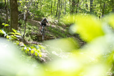 A mountain bike rider navigating a forest trail, captured mid-jump over a small incline, surrounded by lush greenery and trees. Hand Cut Hollow mountain bike trail.