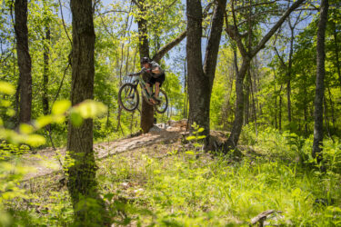 A mountain biker performing a jump on a dirt trail surrounded by lush green trees and foliage. Bright sunlight filters through the leaves, highlighting the action and vibrant natural setting. Hand Cut Hollow mountain bike trail.