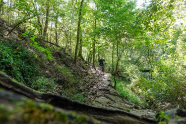 A mountain biker riding along a narrow, rocky trail surrounded by lush green trees and foliage in a forest setting. Here's Johnny mountain bike trail.