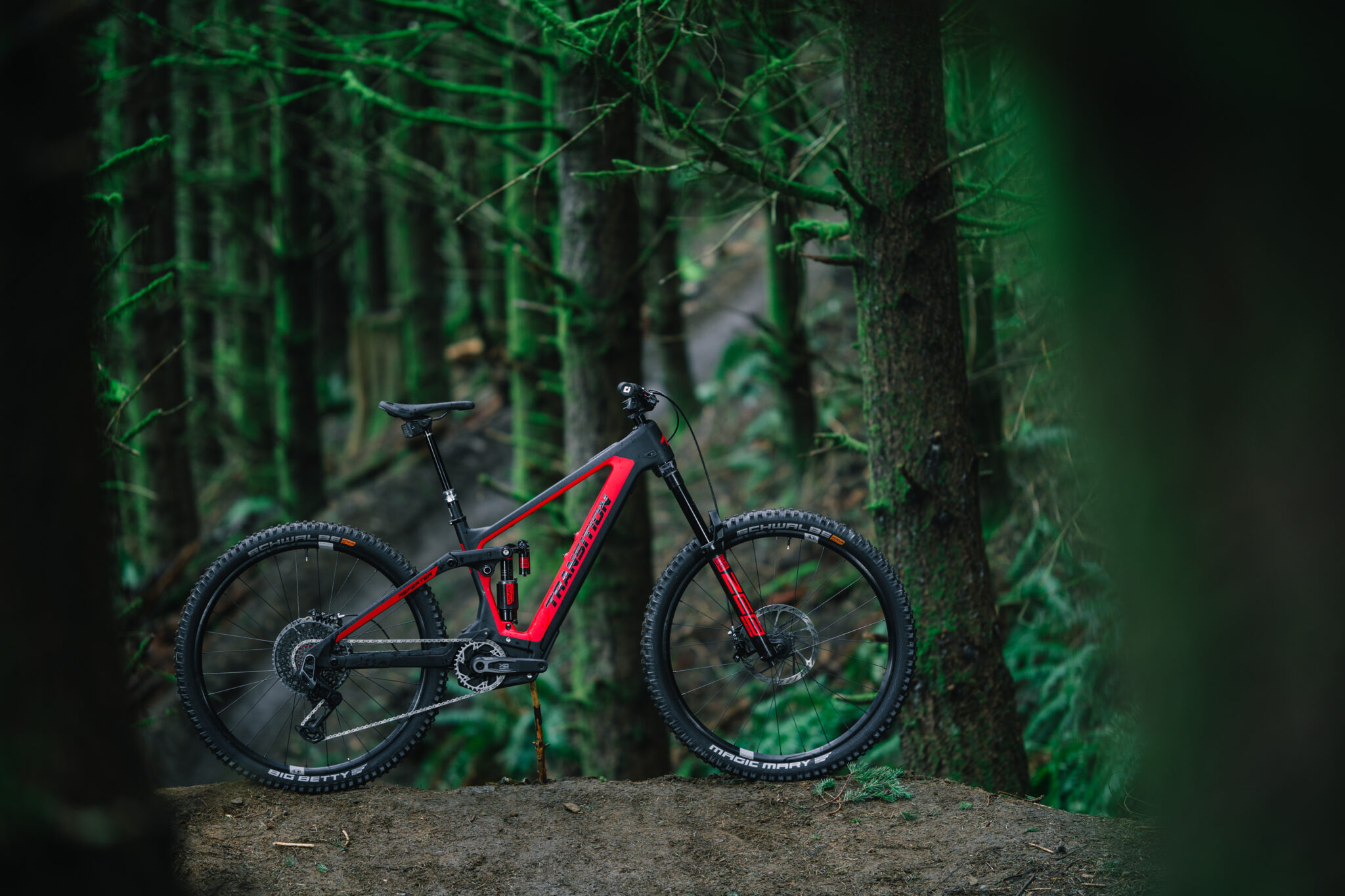 Trek Drops New Clipless Pedals and REI Rolls Out a ValueOriented eMTB Singletracks Mountain