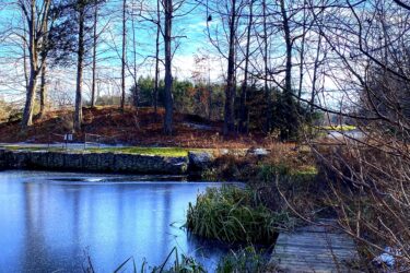 A serene landscape featuring a calm, partially frozen pond surrounded by bare trees and sparse vegetation under a clear blue sky. A wooden dock extends into the water from the right side, and the ground is covered with fallen leaves. In the background, a gently sloping hill is lined with evergreen trees. Glen Haffy Conservation Area mountain bike trail.