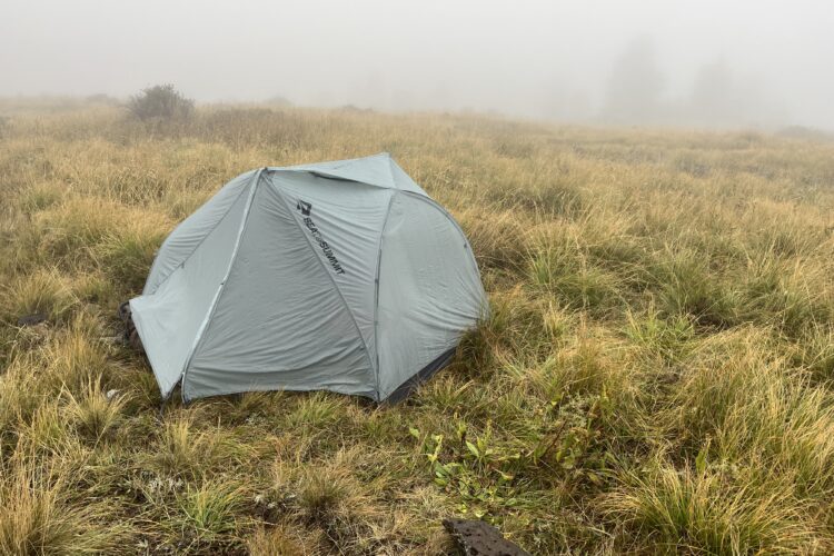 A gray camping tent set up in a foggy, grassy landscape, with patches of tall grass and low vegetation surrounding it. The background is obscured by mist, creating a serene and isolated atmosphere.