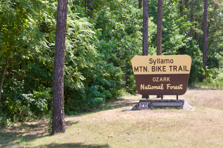 Sign for the Syllamo Mountain Bike Trail located in the Ozark National Forest, surrounded by lush green trees and grassy terrain.