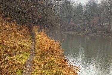 A serene pathway along a river, bordered by overgrown grass and bare trees, under a gray, overcast sky. The calm water reflects the muted landscape, creating a tranquil outdoor scene. Springbank park mountain bike trail.