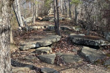 A rocky hiking trail winding through a forest, surrounded by trees with sparse foliage. Sunlight filters through the branches, illuminating the uneven path made of large stones and gravel. Raccoon Mountain Trail Network mountain bike trail.