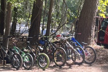 A group of parked bicycles in a wooded area, surrounded by tall trees and dappled sunlight. The bikes vary in color and style, with some having thicker tires suitable for rough terrain. In the background, a glimpse of a road is visible. Tribble mountain bike trail.
