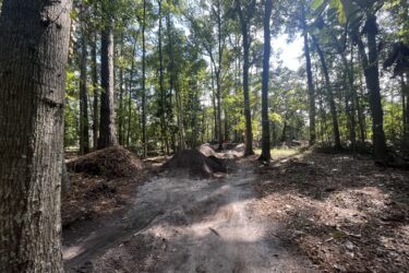 A wooded area featuring a dirt bike trail winding through tall trees. The path is lined with dirt mounds, indicating a biking or jumping course. Sunlight filters through the leaves, casting dappled shadows on the ground. Tribble mountain bike trail.