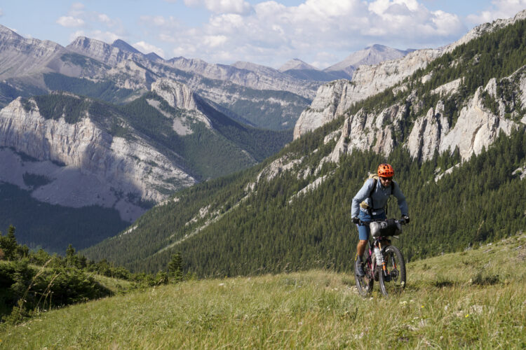 A mountain biker navigating through a grassy landscape with rugged mountains in the background under a partly cloudy sky. The cyclist, wearing a blue jacket and an orange helmet, is positioned on a trail surrounded by lush greenery and tall trees.