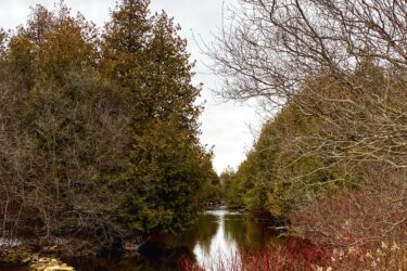 A serene landscape featuring a narrow, reflective river bordered by a variety of trees. On one side, there are dark green coniferous trees, while the other side shows leafless branches and vibrant red bushes. A line of smooth stones runs along the water's edge, and a light dusting of snow is visible on the ground. The sky is overcast, contributing to a peaceful, muted atmosphere. Arkell Spring Grounds mountain bike trail.