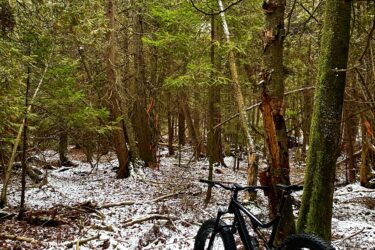 A black fat bike is resting on a carpet of snow and fallen leaves in a dense forest. Tall trees with green foliage surround the bike, and some trees show signs of damage. The scene captures a serene winter landscape with patches of snow covering the ground and a muted atmosphere. Arkell Spring Grounds mountain bike trail.