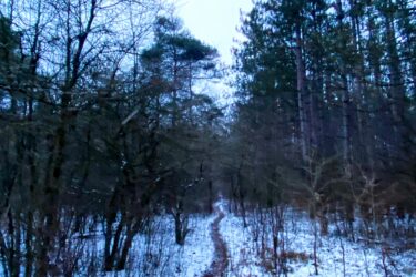 A narrow, winding dirt path leads through a quiet forest blanketed in snow, flanked by bare trees and evergreens under a pale, cloudy sky. Arkell Spring Grounds mountain bike trail.