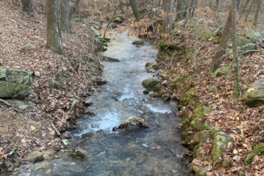 A serene forest scene featuring a gently flowing creek surrounded by tall trees and scattered rocks. The ground is covered with dry leaves, and the sunlight filters through the branches, creating a peaceful ambiance in the wilderness. Double Oak mountain bike trail.