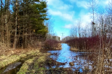A dirt pathway lined with trees is partially flooded with water, reflecting the blue sky. The scene features muddy tire tracks on the edges, with patches of grass and scattered snow visible. Utility poles can be seen in the distance, surrounded by bare and budding vegetation on either side of the path. Parkhill Conservation area and rail trail mountain bike trail.