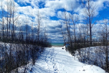A snowy path leading towards a beach, flanked by bare trees and scattered bushes, under a cloudy blue sky. Footprints in the snow lead toward the water in the distance. Presquile Provincial Park mountain bike trail.