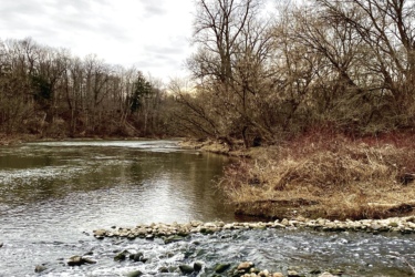 A calm river flows through a wooded area, with bare trees lining the shore. Smooth stones create a small rocky outcrop in the water, and the sky is overcast with soft, gray clouds. The landscape appears serene and natural, reflecting an early spring or late autumn atmosphere. MeadowLilly mountain bike trail.