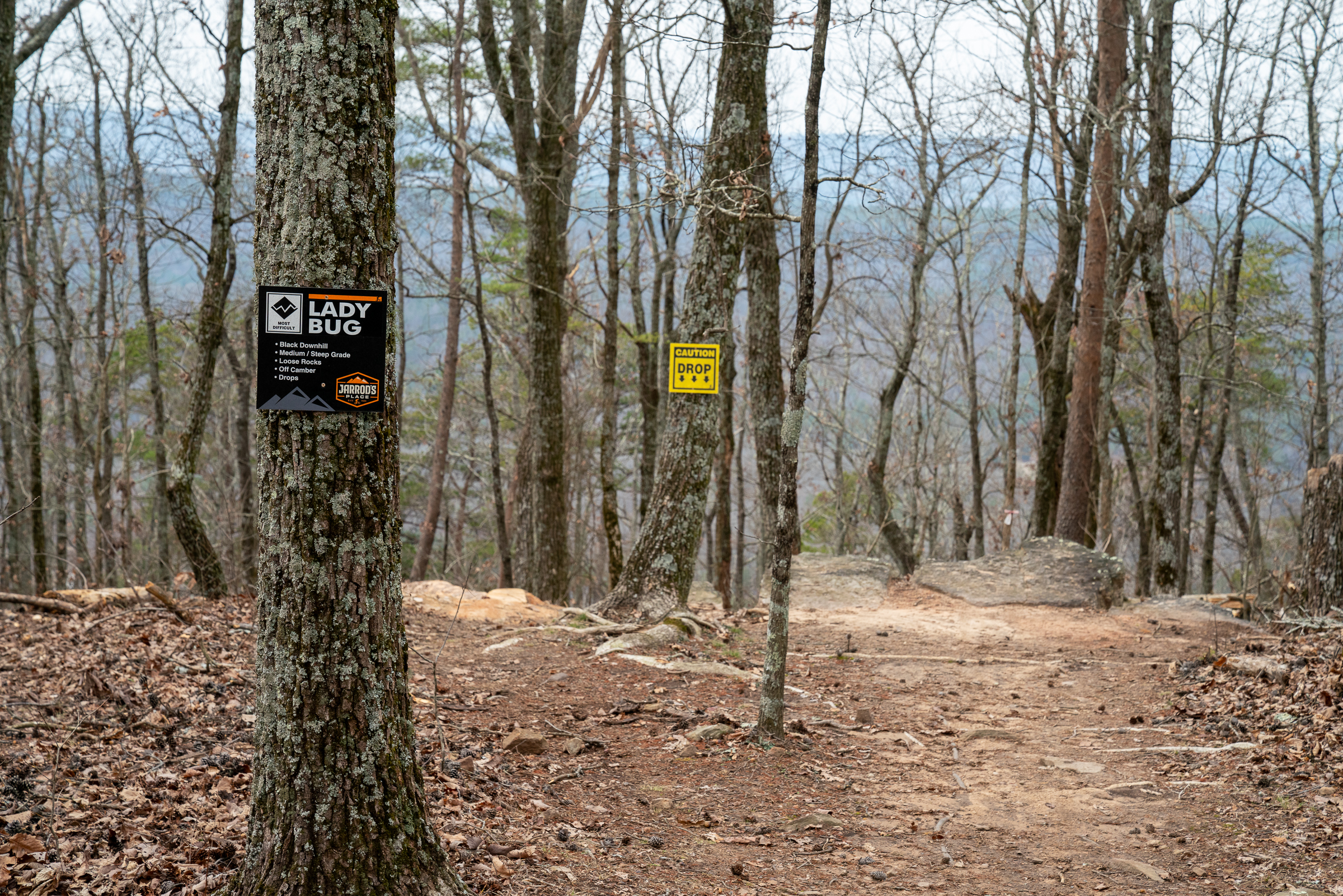 Signposts on a trail in a forest, featuring a black and white sign labeled "LADY BUG" with trail details on one tree, and a yellow caution sign warning of a drop nearby. Leaf-covered ground and bare trees are visible in the background, indicating early spring or late fall. Jarrod