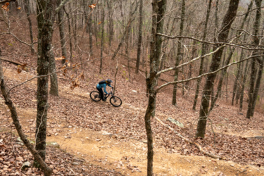 A mountain biker navigating a steep, leaf-covered trail in a forest, surrounded by bare trees in an autumn setting. Jarrod's Place mountain bike trail.