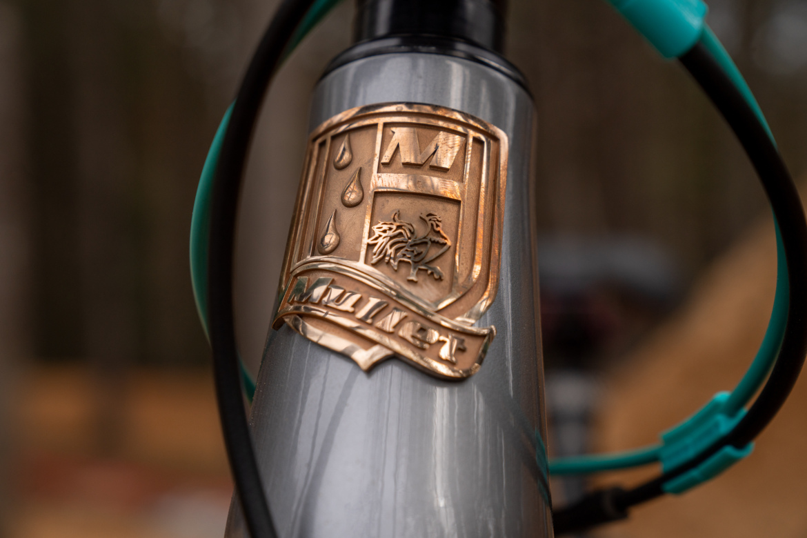 Close-up of a bike's head tube showcasing a metallic emblem with a stylized design, featuring two water droplets and a creature, mounted on a sleek gray frame. The image is set against a blurred natural background, indicating an outdoor environment.