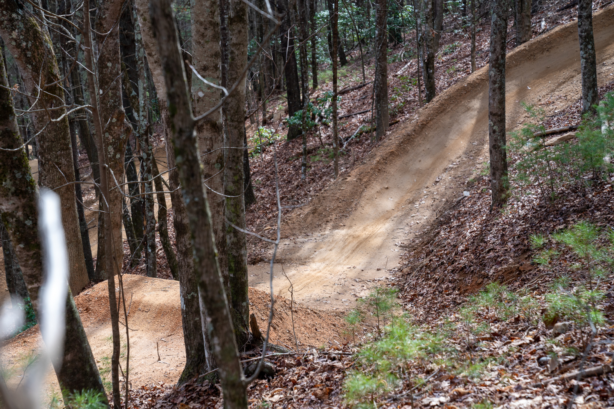 Ride Kanuga Makes Bike Park Riding Accessible YearRound Singletracks