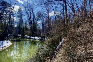 A serene landscape featuring a winding, greenish pond surrounded by brown and green grasses. In the foreground, a dirt path leads along the water's edge. The background showcases tall, bare trees against a bright blue sky with a shining sun and scattered clouds. Lambton County Heritage Forest mountain bike trail.